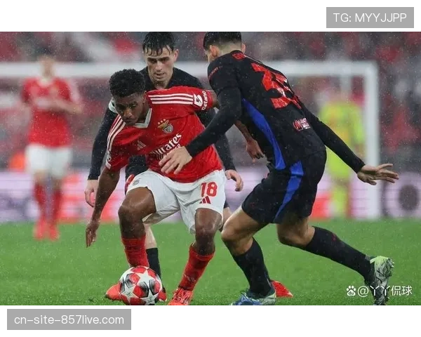 本菲卡进攻过度依赖帕夫利迪斯 战术多样性受限影响争冠